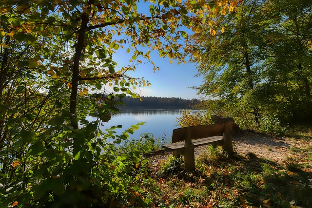 陈艾森领到退役证书，正式告别运动生涯
