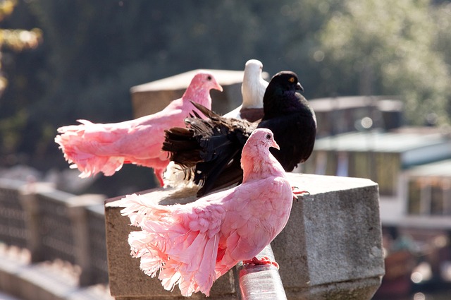 利物浦球员国家队战报：罗伯逊90场里程碑率队进军世界杯